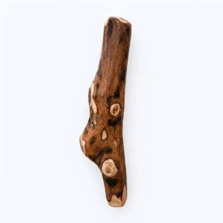 legno di ulivo per cani