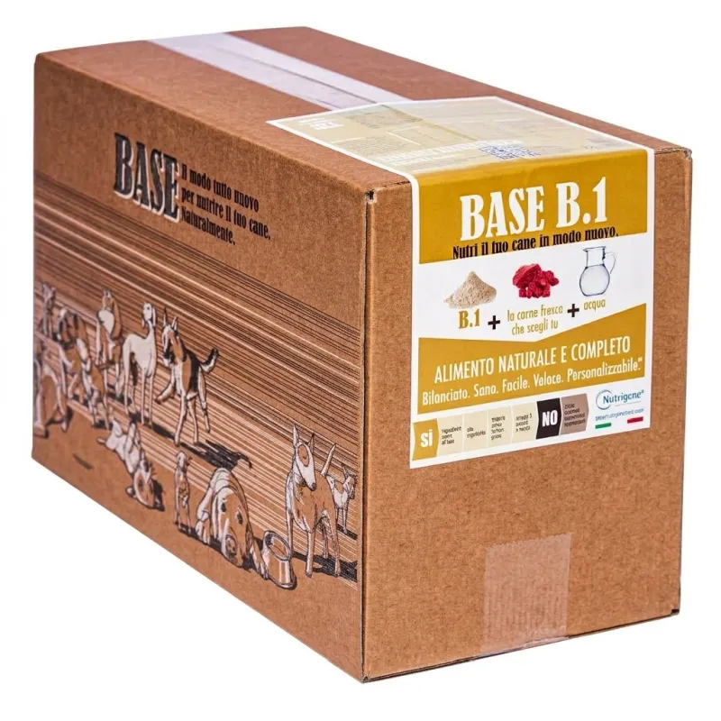 Nutrigene BASE B1 7 Kg